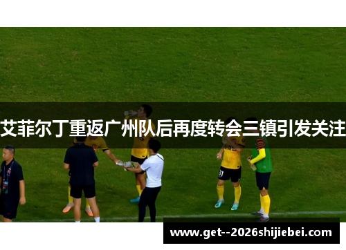 艾菲尔丁重返广州队后再度转会三镇引发关注 艾菲尔丁重返广州队后再度转会三镇引发关注